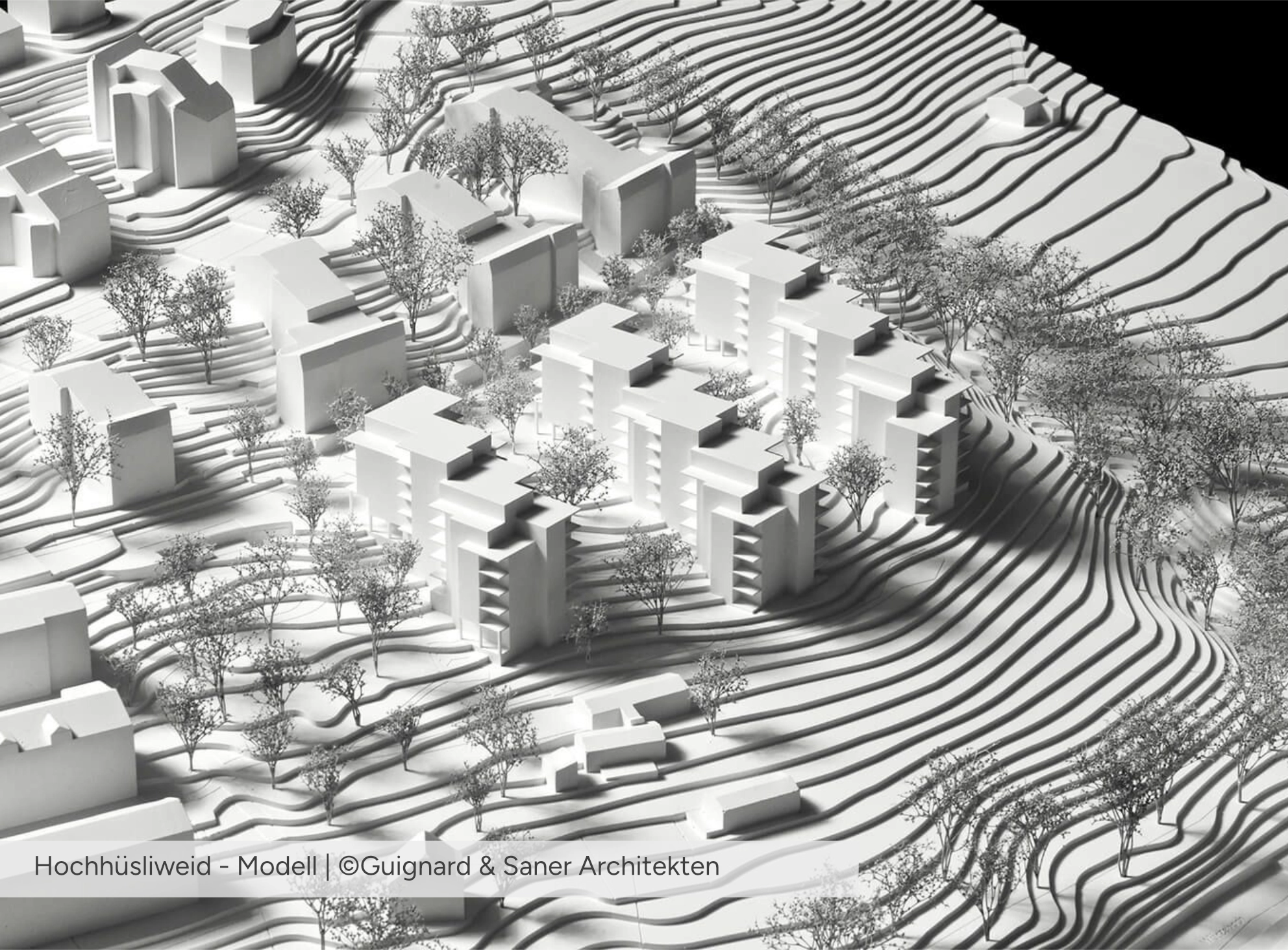 Hochhüsliweid Gipsmodell